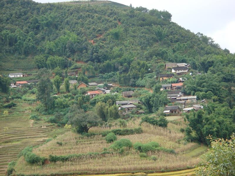 山嶺頭村全貌