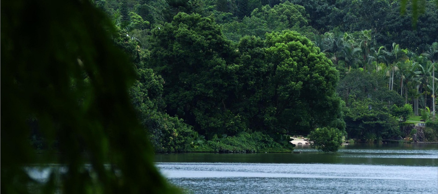 深圳市中國科學院仙湖植物園