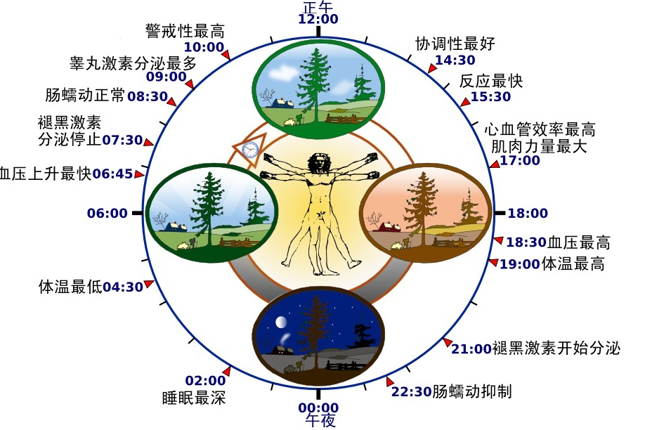 生理鐘