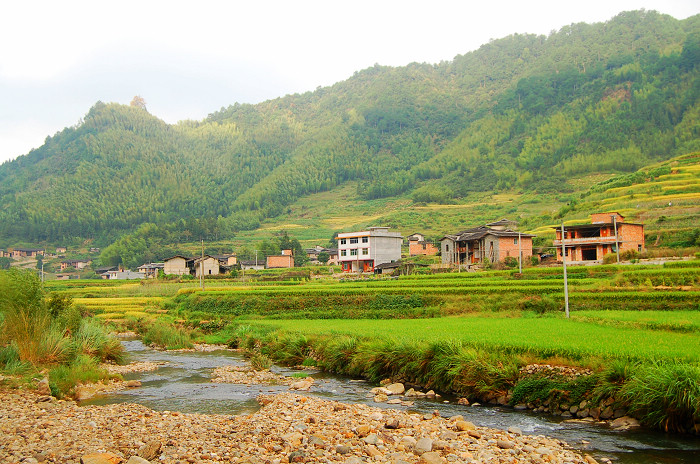 黃林村(福建省尤溪縣湯川鄉轄村)