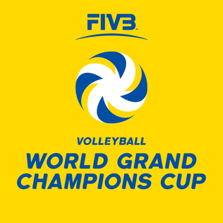 國際排球聯合會(FIVB)