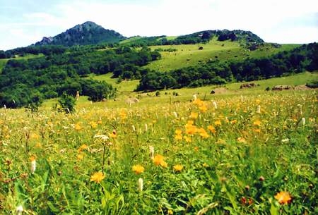 邊塞風光——黃草梁