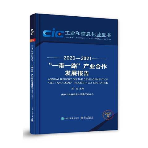 產業合作發展報告2021版2020-2021
