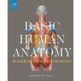 Basic Human Anatomy