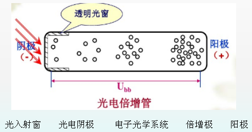 光電倍增管