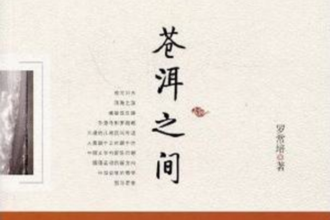 蒼洱之間(2009年黃山書社出版的圖書)