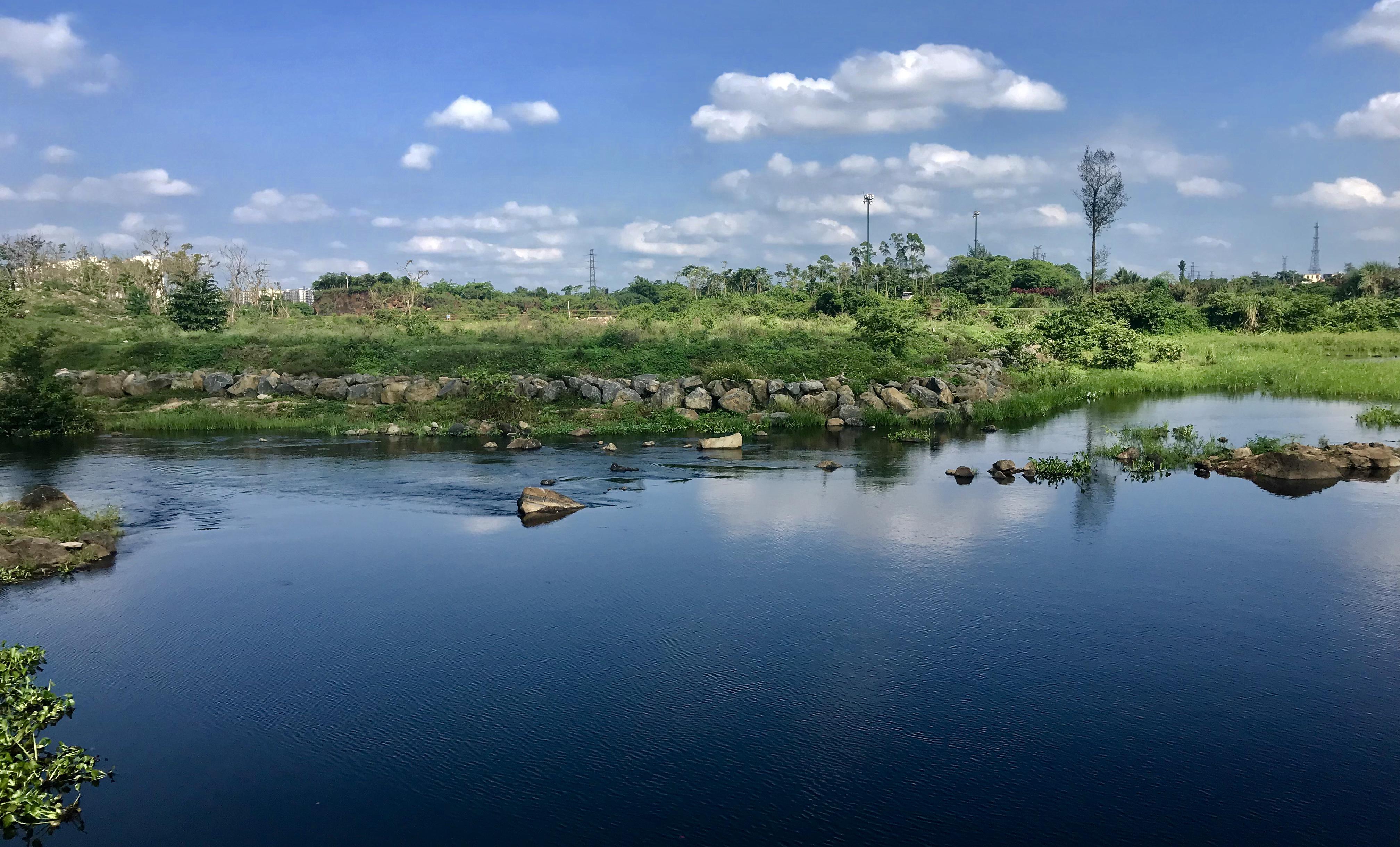 海南海口響水河省級濕地公園