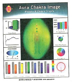 全身氣場氣輪圖及生物反饋數據圖表說明