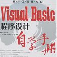 Visual Basic程式設計自學手冊