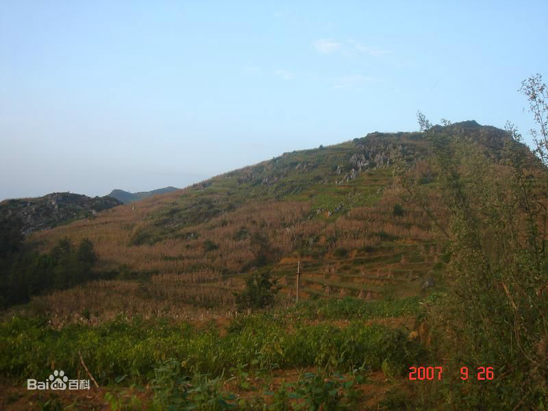 長灣自然村(花朗鄉林正村委會下轄自然村)