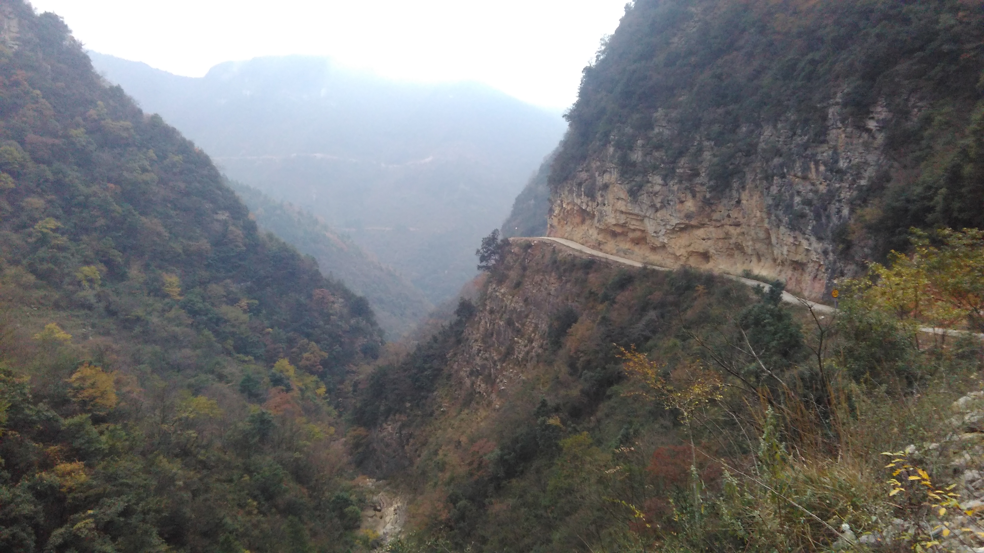 進村道路