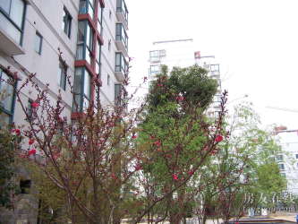 雨花新村一至五村