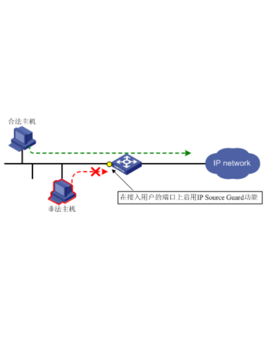 IP Source Guard