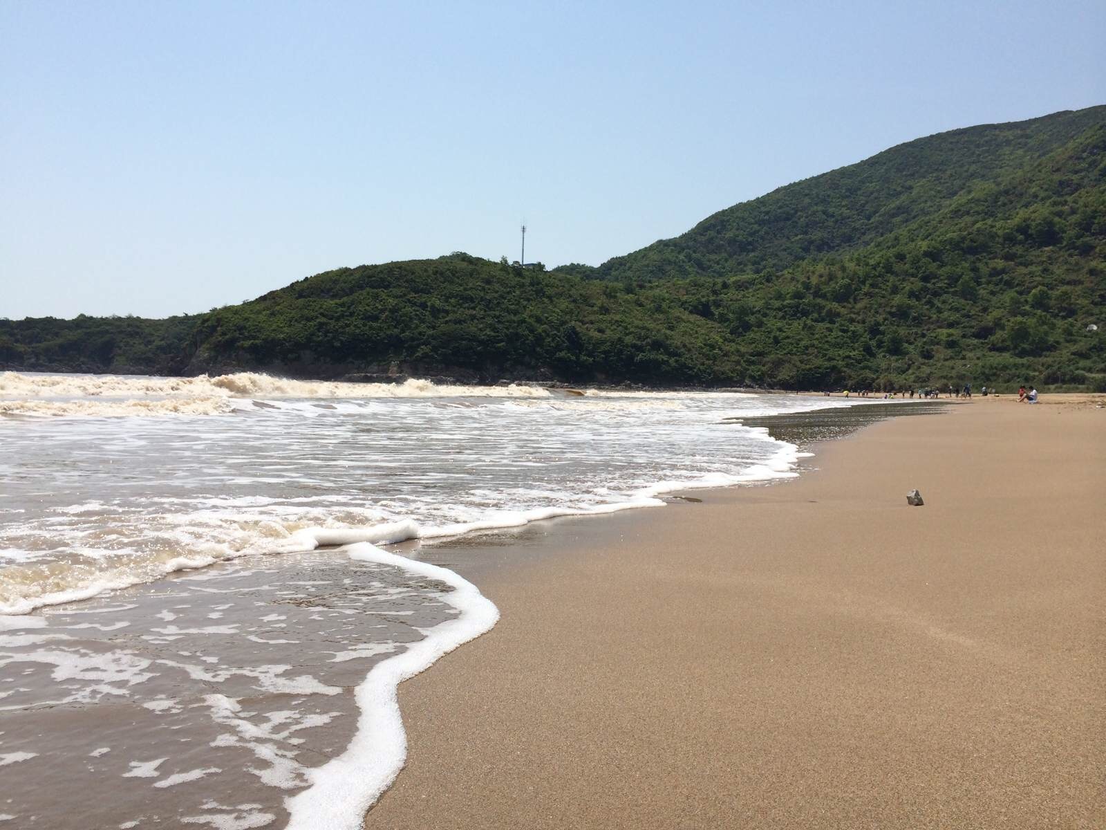 大沙村(廣東省佛山市禪城區張槎街道下轄村)