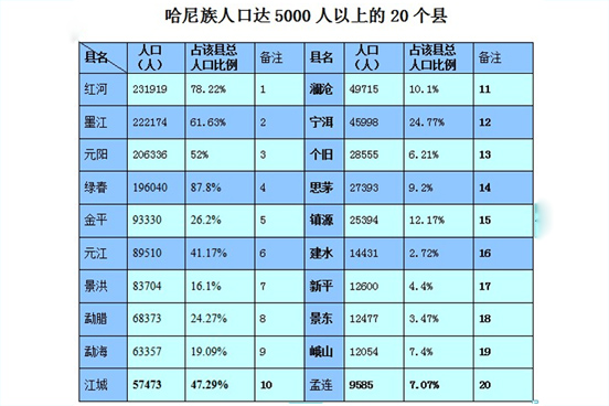 哈尼族(中國傳統少數民族)