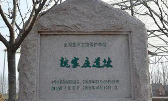 魏家莊遺址