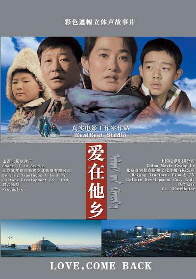 愛在他鄉(2007年中國電影)