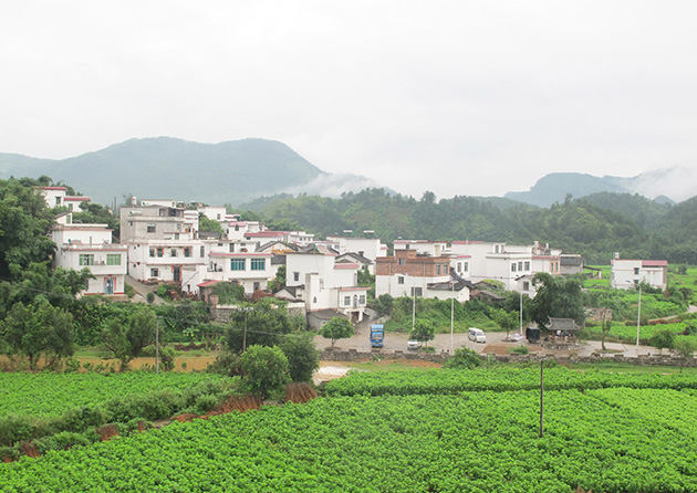 山腳村(雲南省祿勸縣雲龍鄉下轄村)