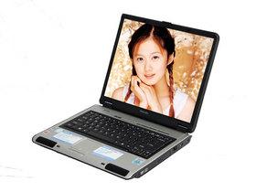 東芝SatelliteL100(PSLA3Q-01Q004)