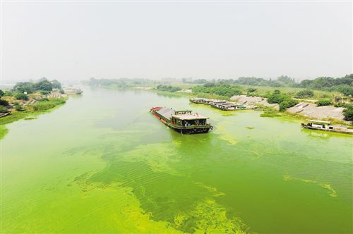 河流水面