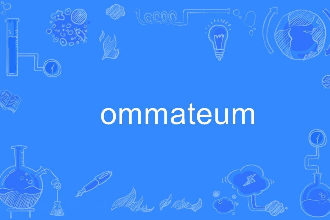 ommateum