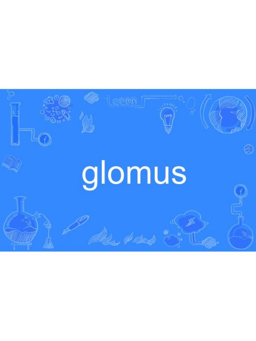 glomus