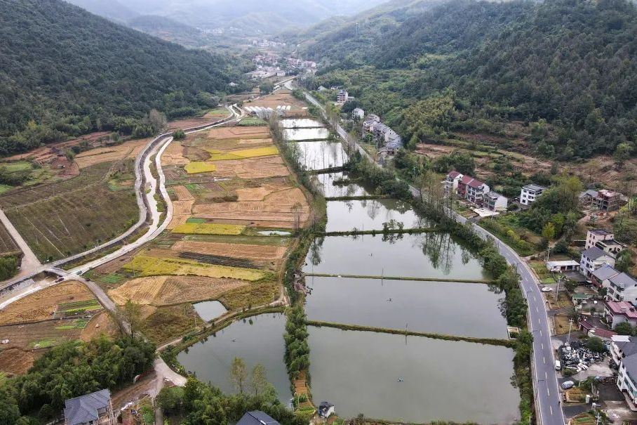 上唐村(浙江省杭州市桐廬縣橫村鎮下轄村)