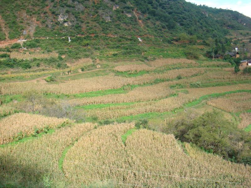 阿老山村