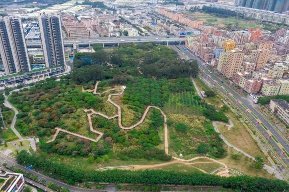 龜山公園(廣東省深圳市光明區的城市公園)