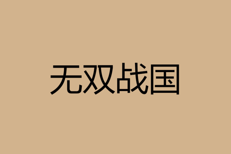 無雙戰國(小說)