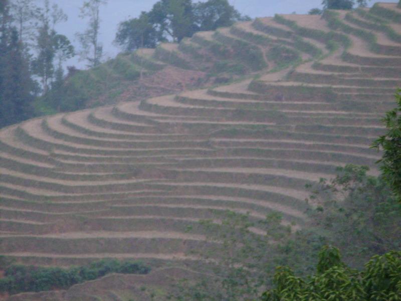 村中田園