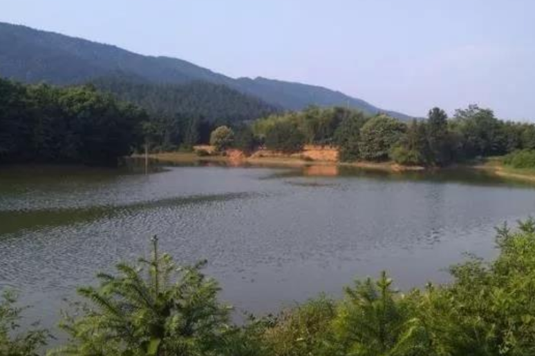 河圍寺水寨遺址