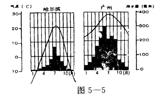 降水柱狀圖