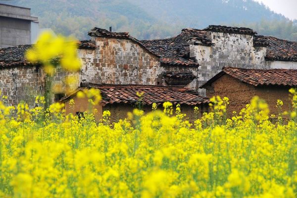 張村鄉(浙江江山市轄鄉)