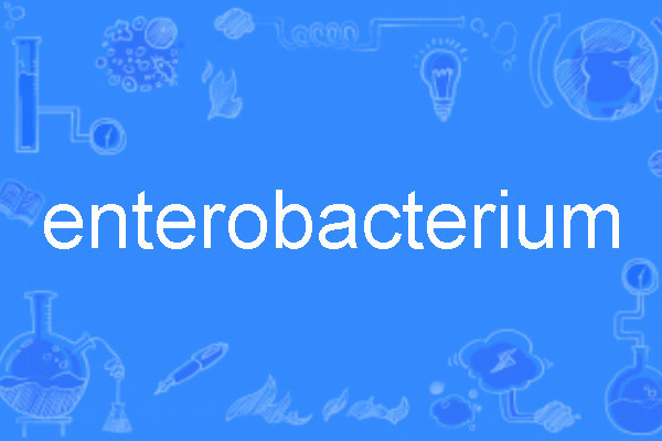 enterobacterium