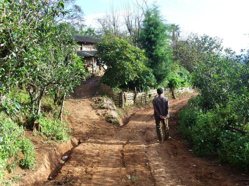 村內道路