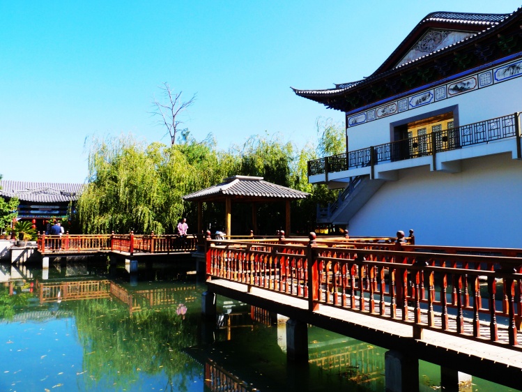 新華村(安徽省六安市壽縣板橋鎮新華村)