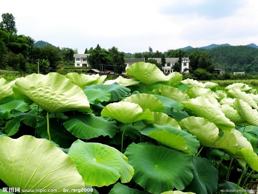 均村鄉