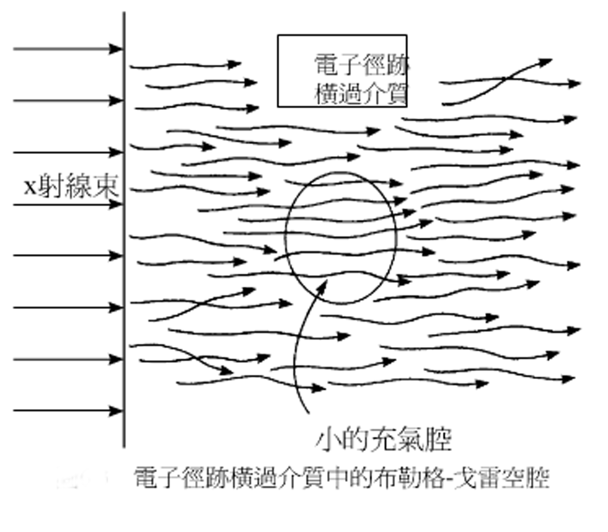 布勒格-格雷原理