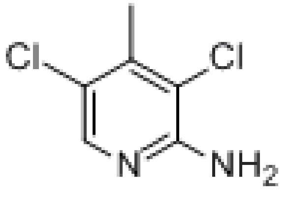 2-氨基-3,5-二氯-4-甲基吡啶