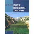 黃土高原溝道壩系相對穩定原理與工程規劃研究