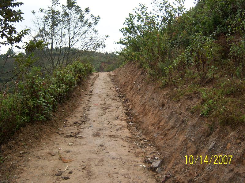 鄉村道路