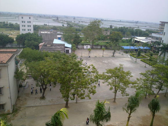 楊河村(湖北隨州市廣水市城郊街道楊河村)