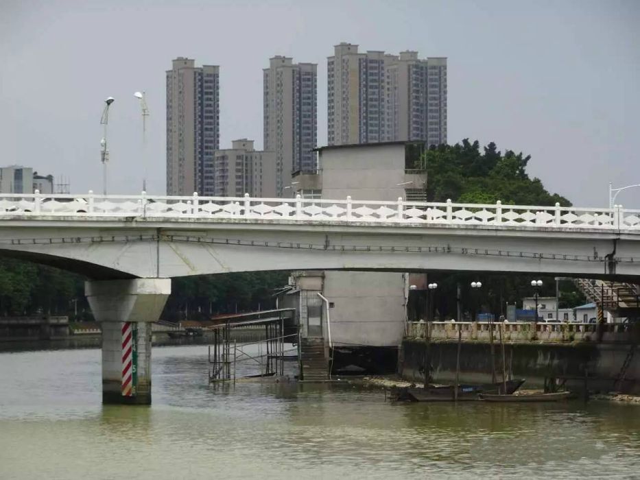 市橋大橋