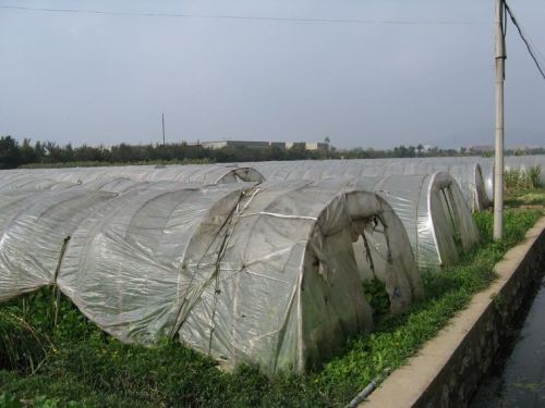 黃家莊村(浙江省寧波市餘姚市大嵐鎮黃家莊村)