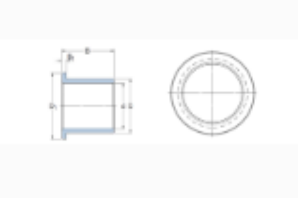 SKF PSMF030504A51軸承