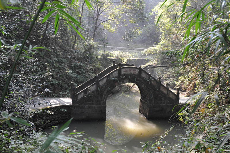 湖南桃花源國家森林公園