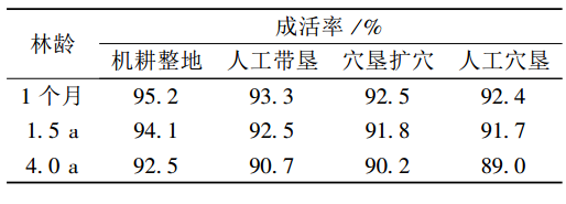 表1 整地對桉樹成活率的影響