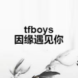 tfboys因緣遇見你