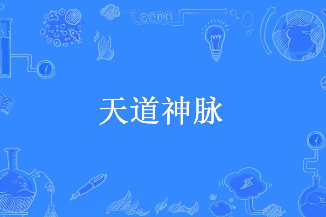 天道神脈(森梟所著小說)